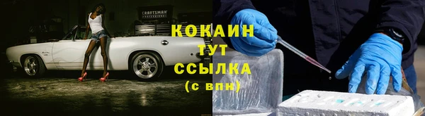 дмт Абаза