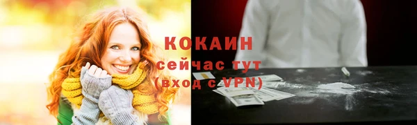 дмт Абаза
