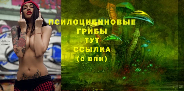 гидра Абинск