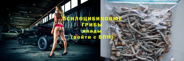 МДПВ Абдулино