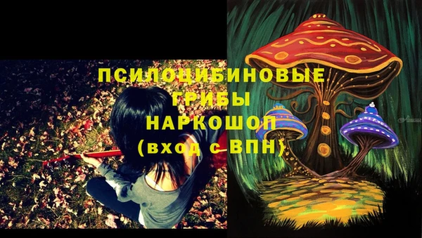 прущий лед Нея