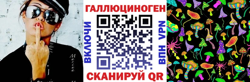 KRAKEN зеркало  Шарья  Псилоцибиновые грибы ЛСД 
